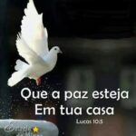 1 de janeiro de 2022 – Dia Internacional da Paz